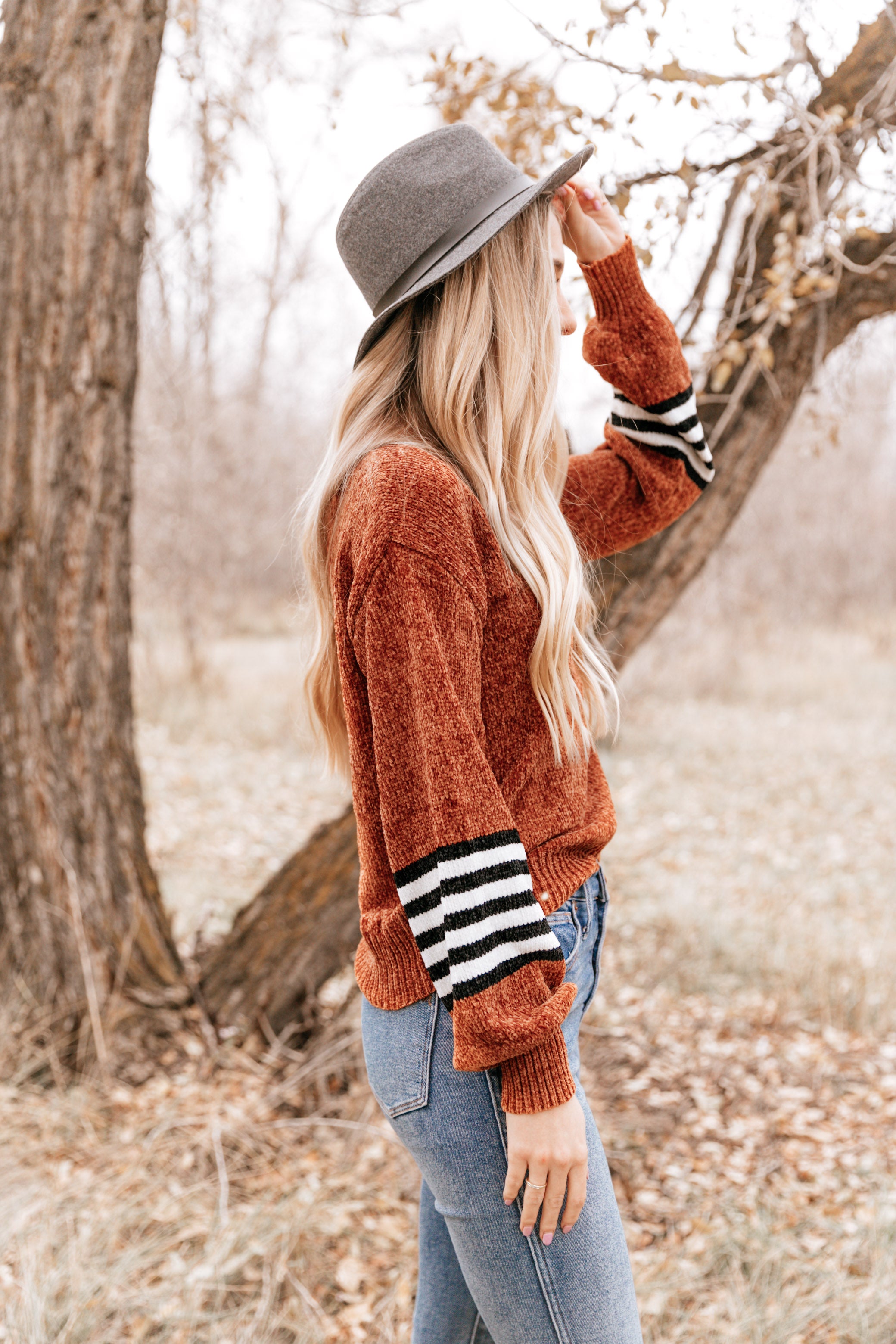 Stripe Accent Crewneck Sweater