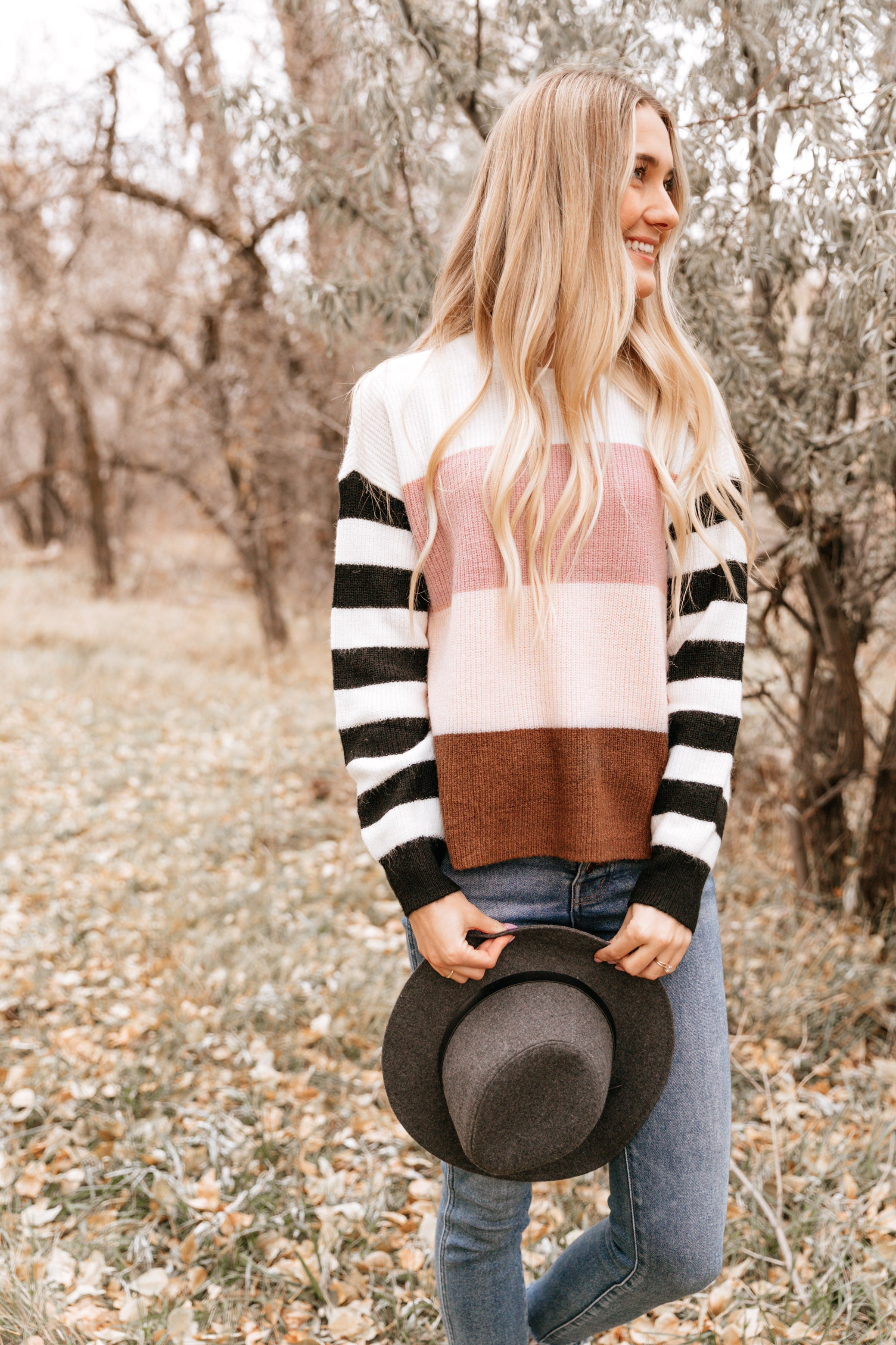 Neopolitan Contrast Sleeve Sweater